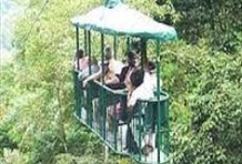 Rainforest Aerial Tram Ride 